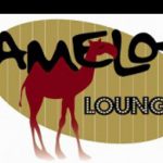 Camelot Lounge